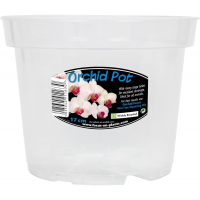 Clear Orchid Pot  17cm